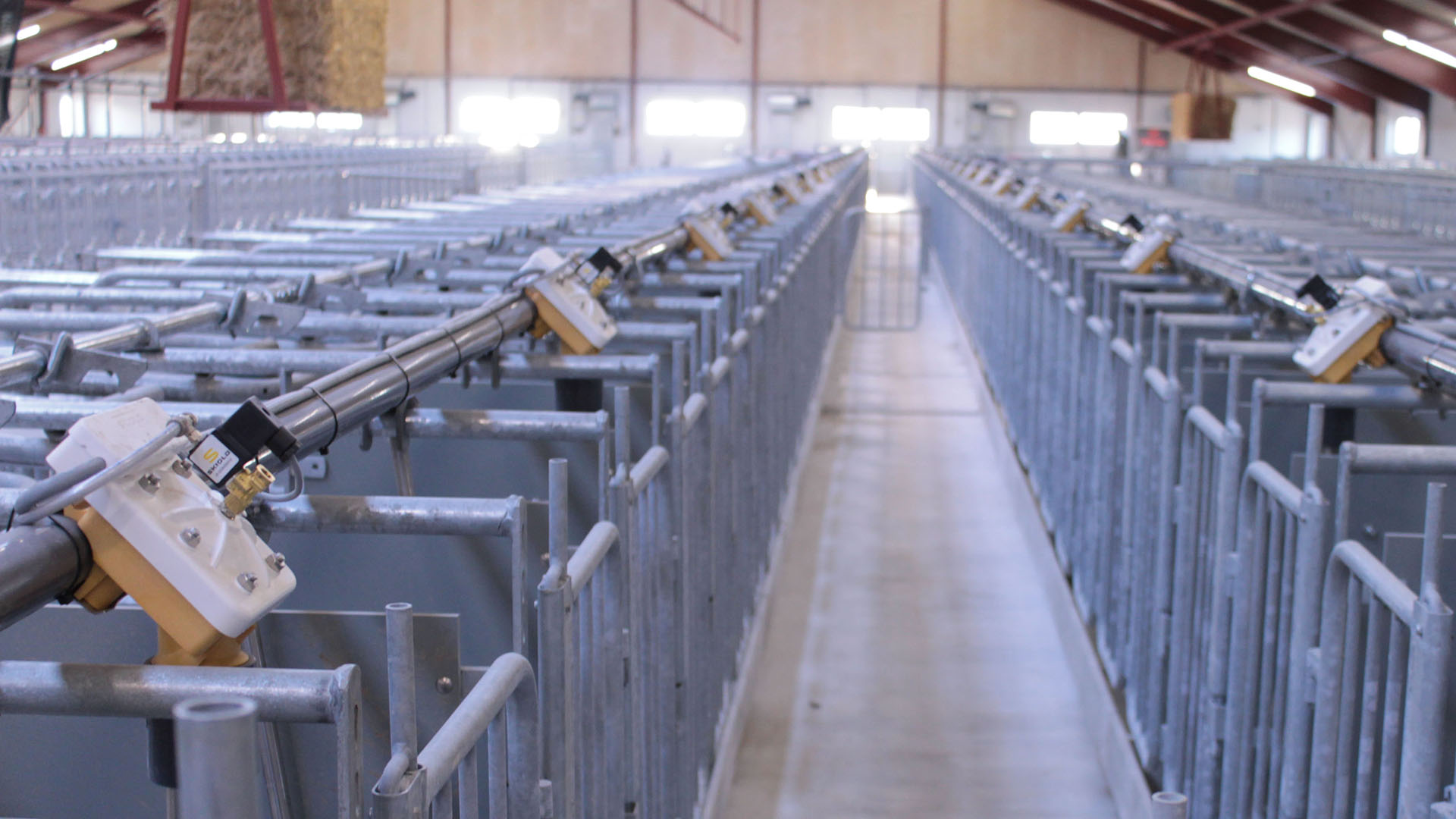 SKIOLD liquid feeding system at Civagaard 