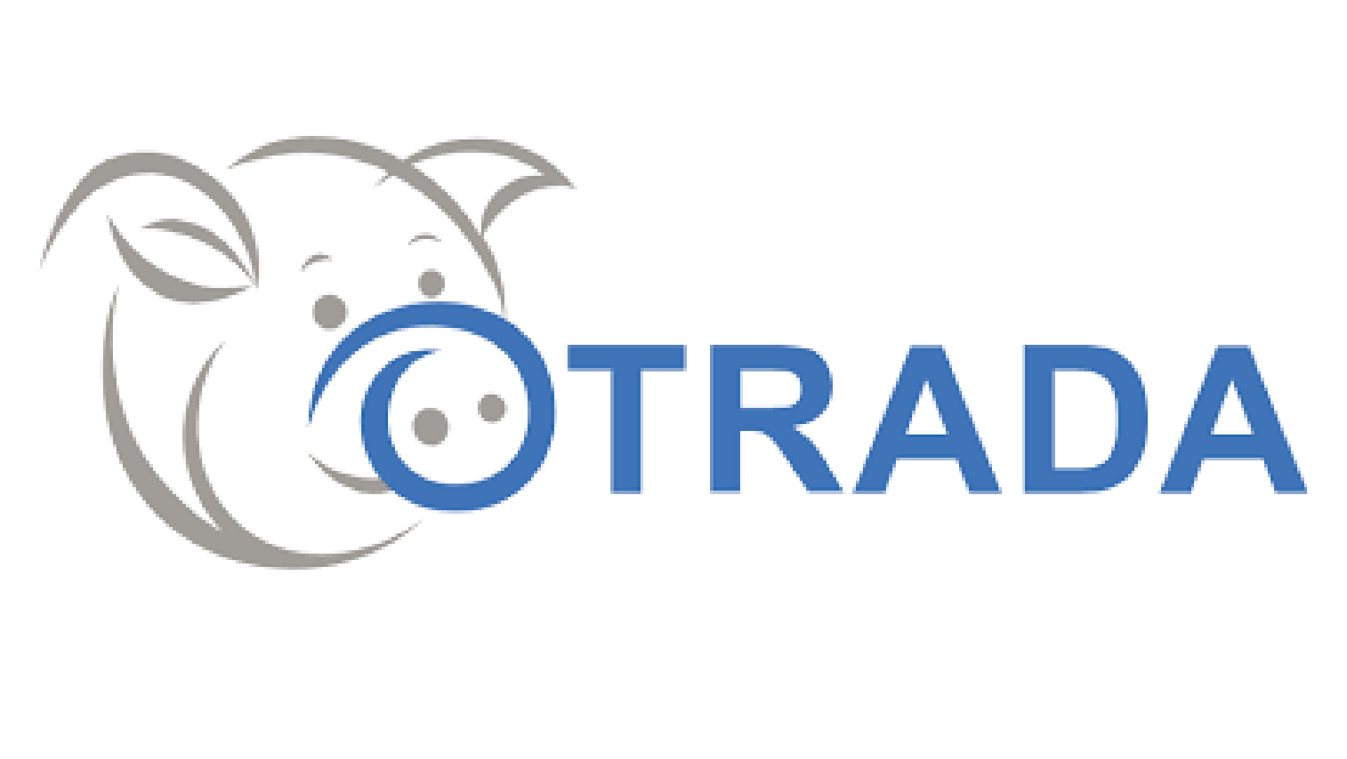 SKIOLD Feed Mill at Otradagen Pig Farm in Russia